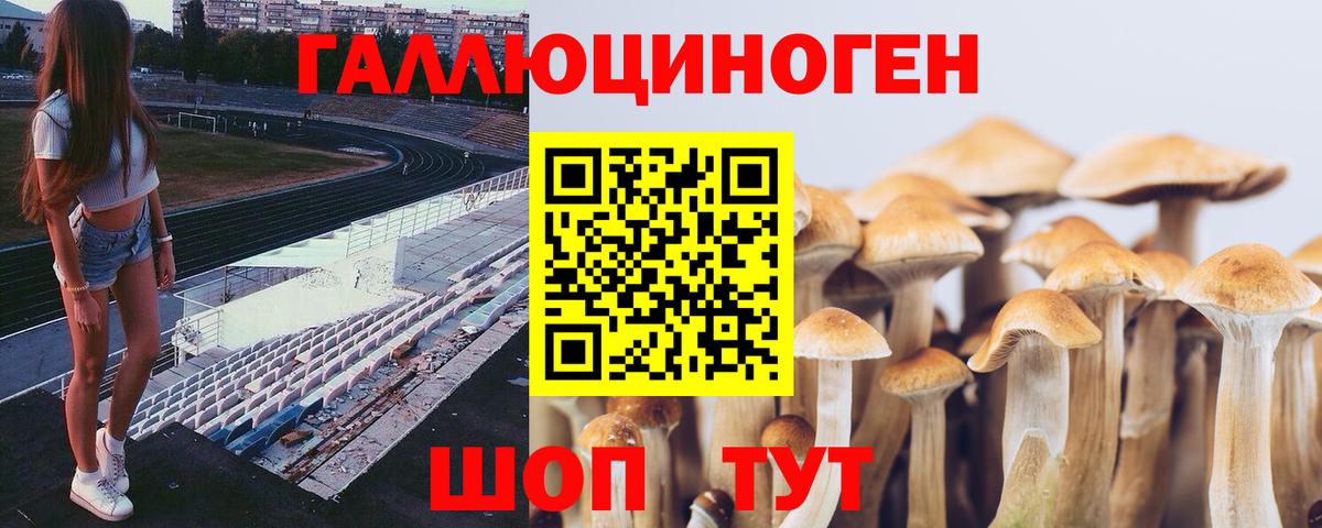 Псилоцибиновые грибы Cubensis  Вход с VPN  Ачинск 